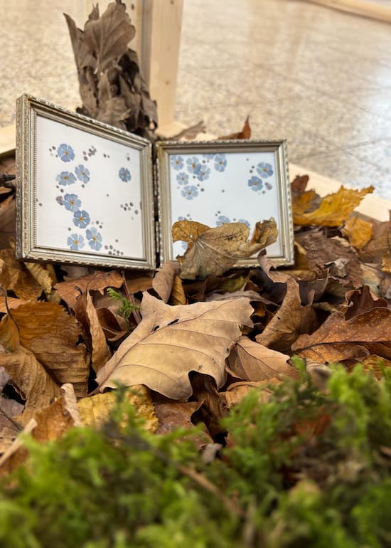 exposition jardins divers oyou