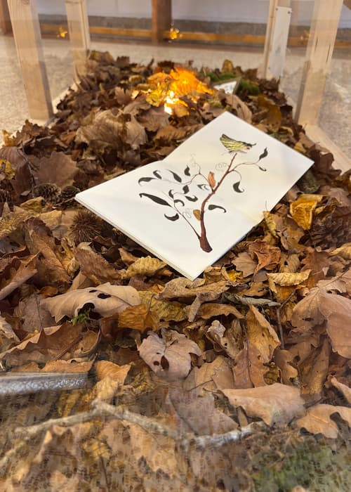 Serre créée pour l'exposition "Jardins divers" au centre culturel OYOU