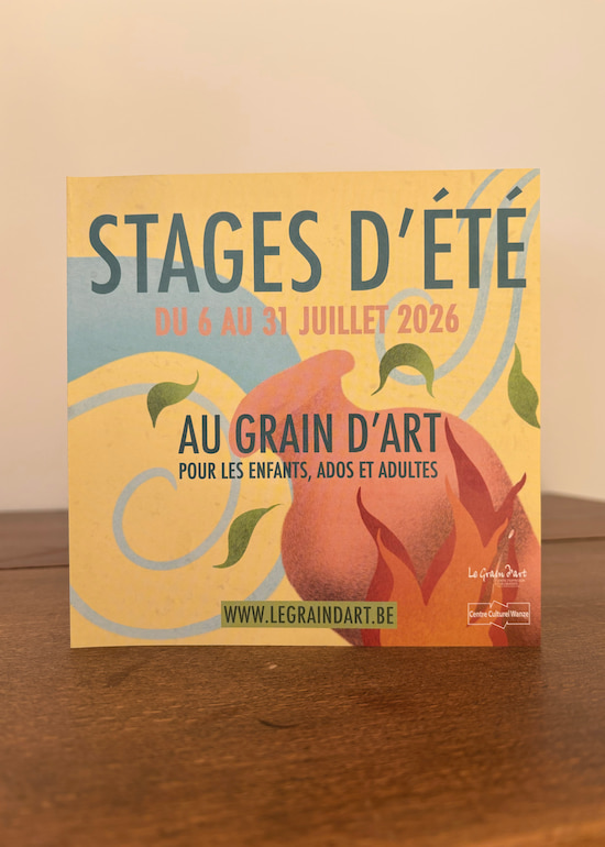 Fascicule illustré de stages d'été autour du thème des 4 éléments